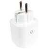 smartwise-602pm-wi-fi-smart-plug-with-power-meter-and-overload-protection-16a3.jpg